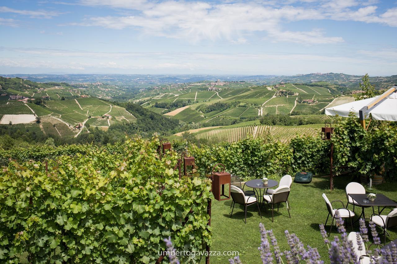 Agriturismo La Torricella Monforte dʼAlba Dış mekan fotoğraf